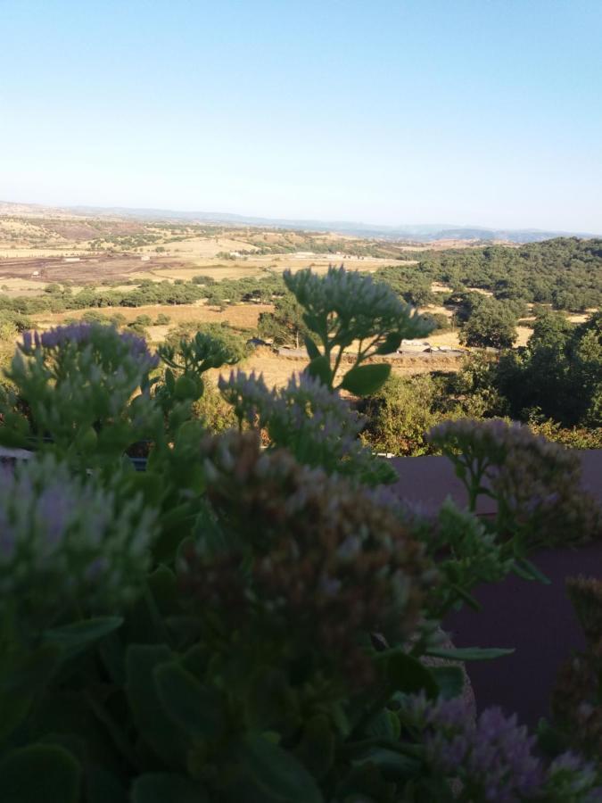 Belli Come Il Sole Serri Exterior foto